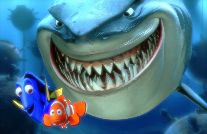 Tortoise Finding Nemo