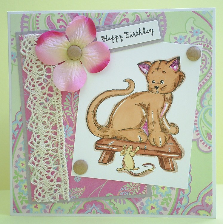 [Becky+Purrfect+Pets.JPG]