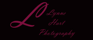 Lynne Hart Photography