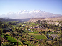 Valle andino