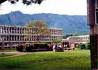 University of malawi's Chancellor college in green!