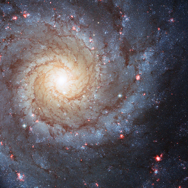 Holiday wishes from the Hubble Space Telescope: M74 in high-resolution