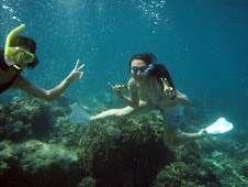 Dalam laut
