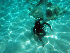Dasar laut