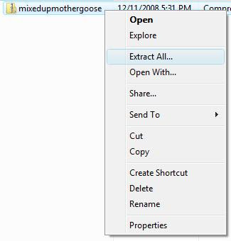 Extracting the zip file
