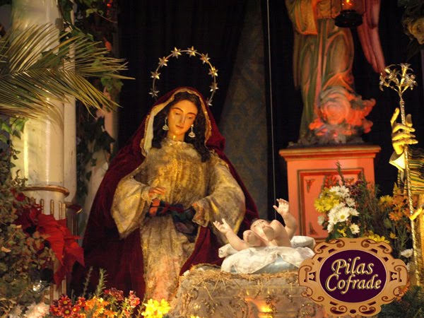 [PC244563+[1280x768].jpg]