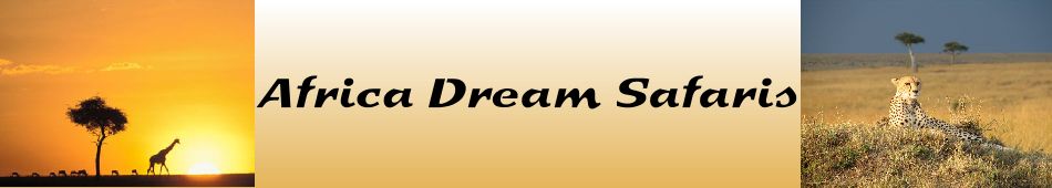 africa dream safaris