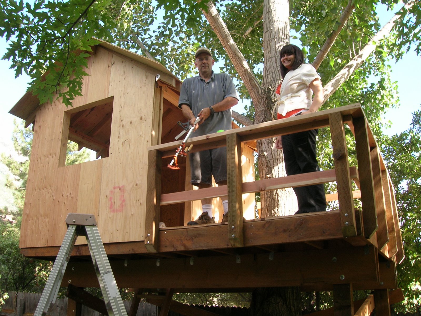 [treehouse2]