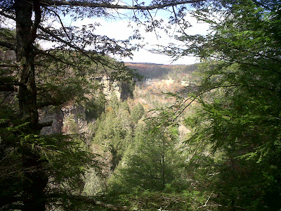 view from above and behind falls