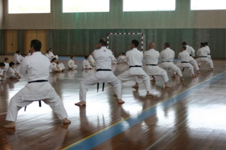 [IMG_1835.JPG]