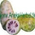 Khasiat Buah Mengkudu thumbnail