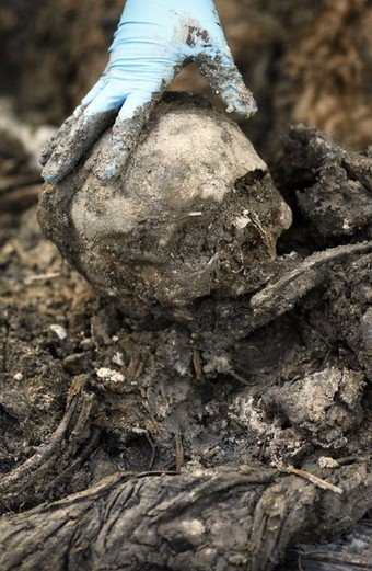 [Skeletal+Remains+Srebrenica+Genocide+Kamenica+Mass+Grave+ICMP.jpg]