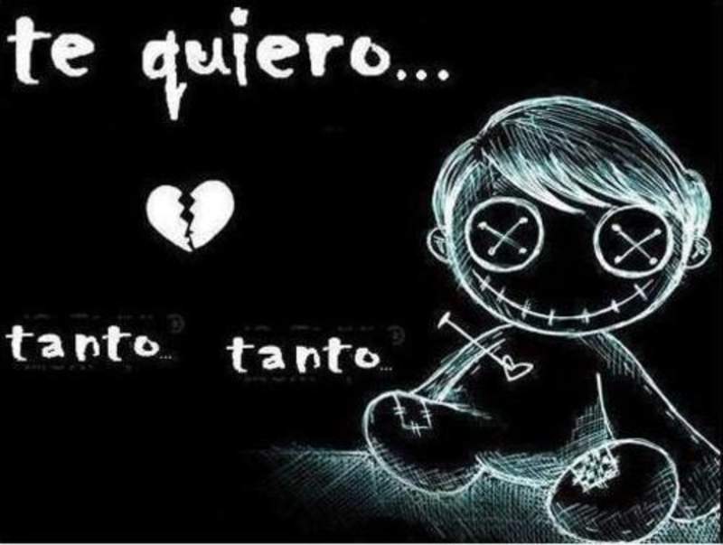amor amor