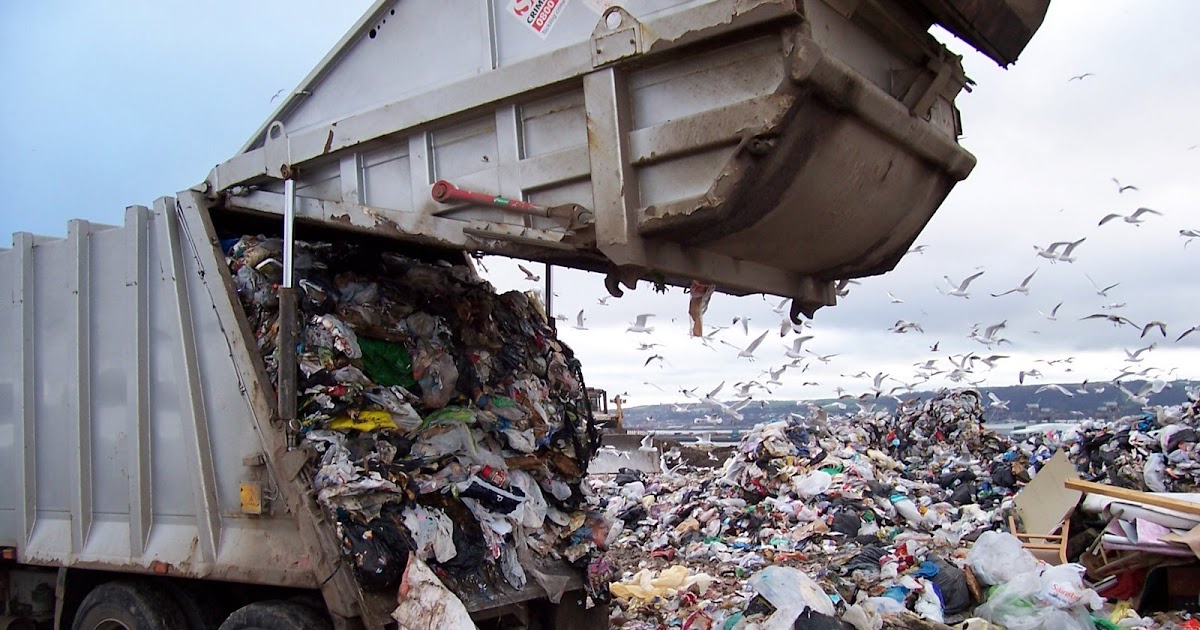Going Green By Accident Building cars with trash