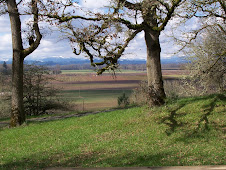 View of Willamette Valley Farms