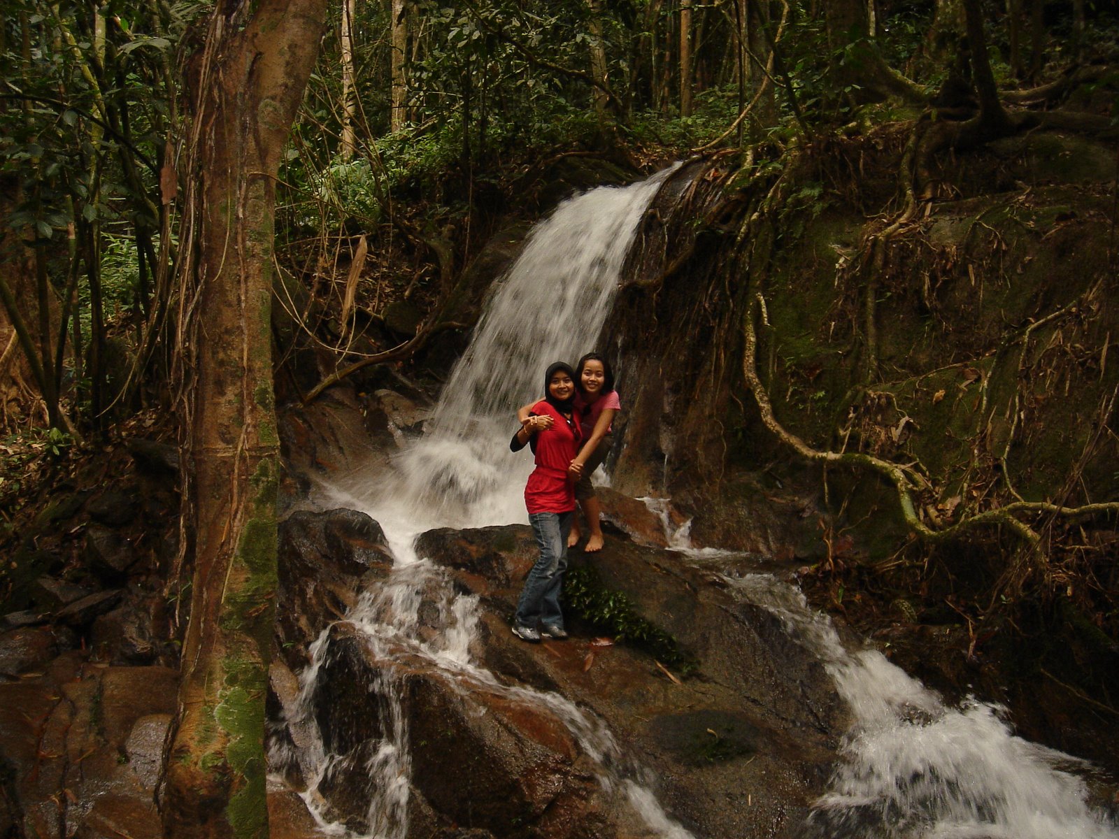 [DSC01983.JPG]