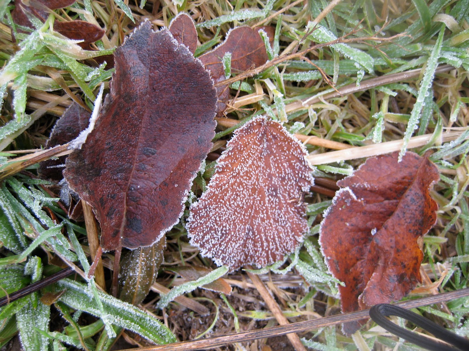 [IMG_6097.JPG]