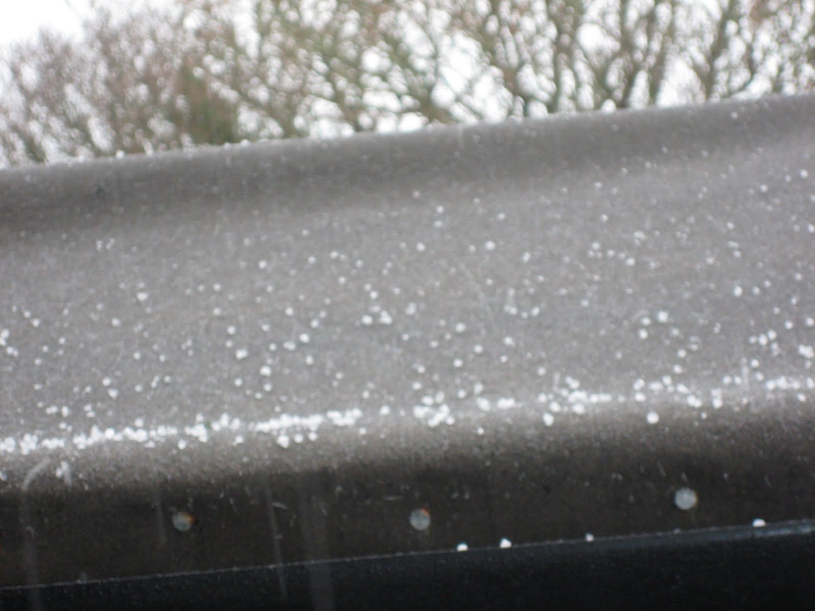 [IMG_6149.JPG]