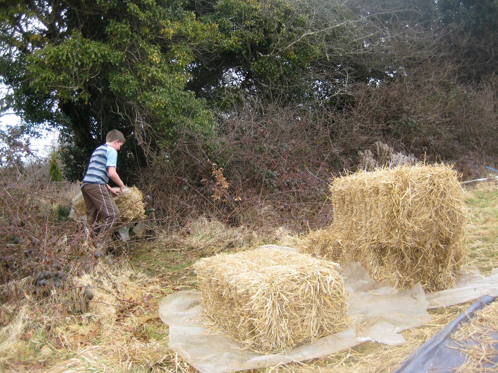 [IMG_6361.JPG]