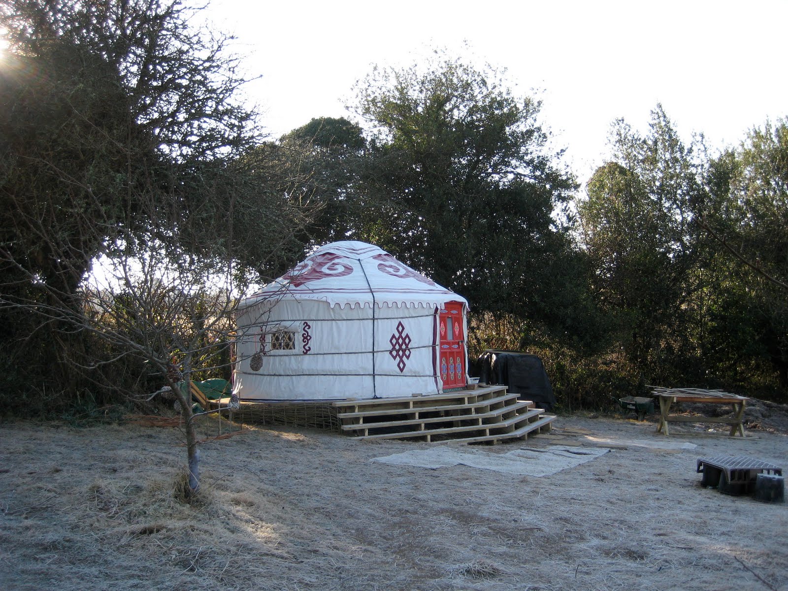 [IMG_0560.JPG]
