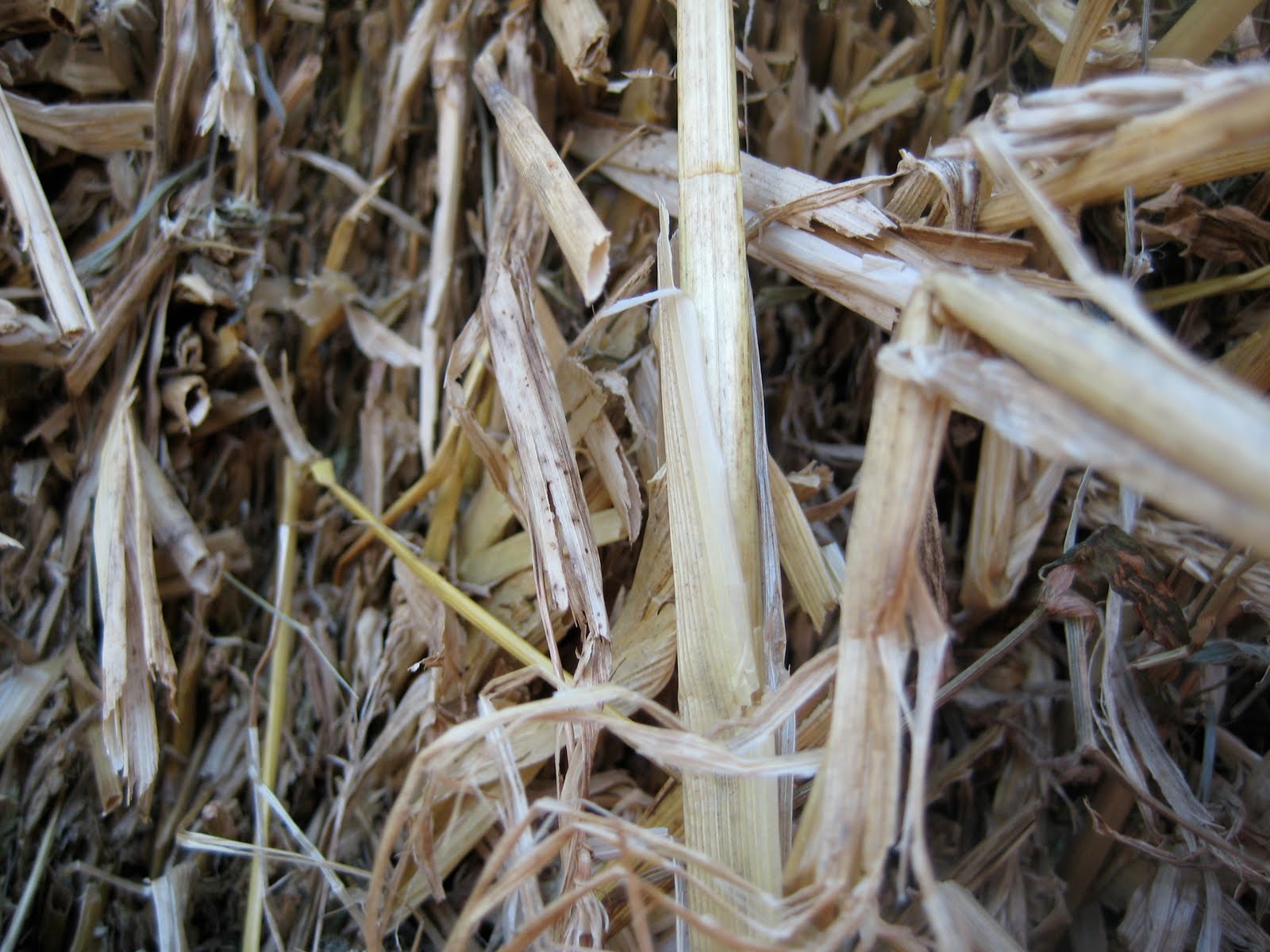 [IMG_6492.JPG]