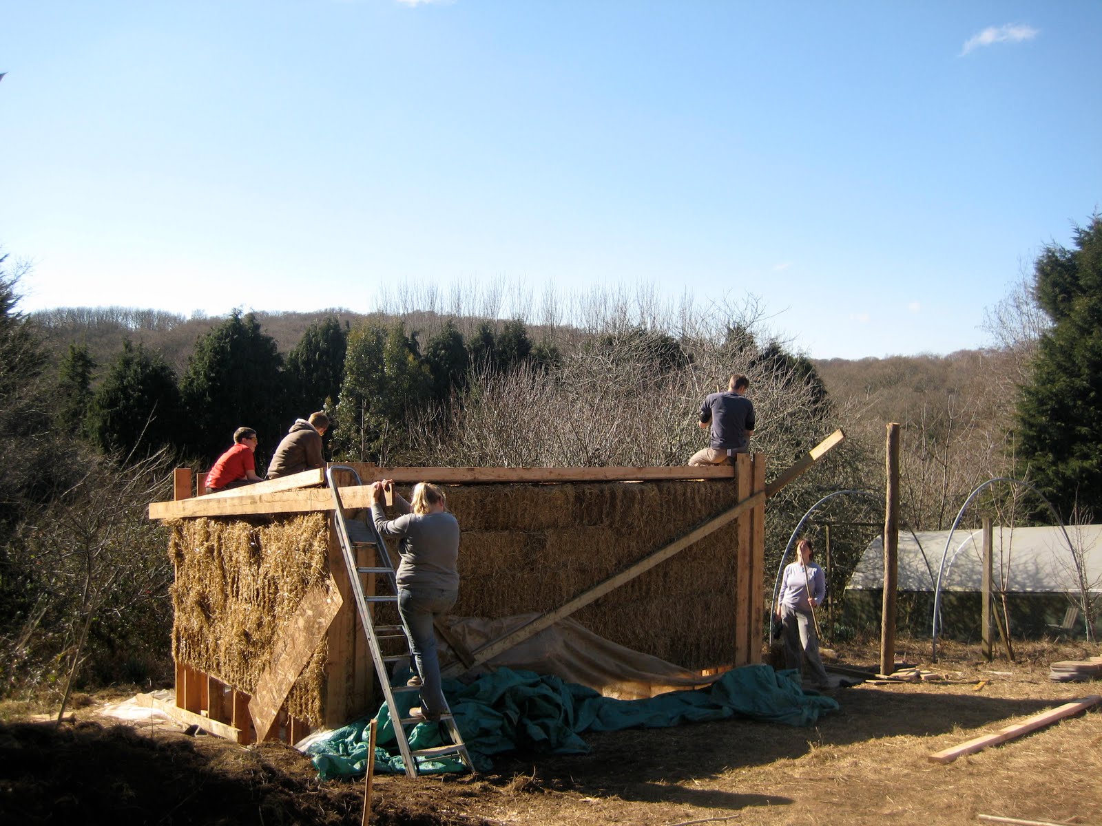 [IMG_6508.JPG]