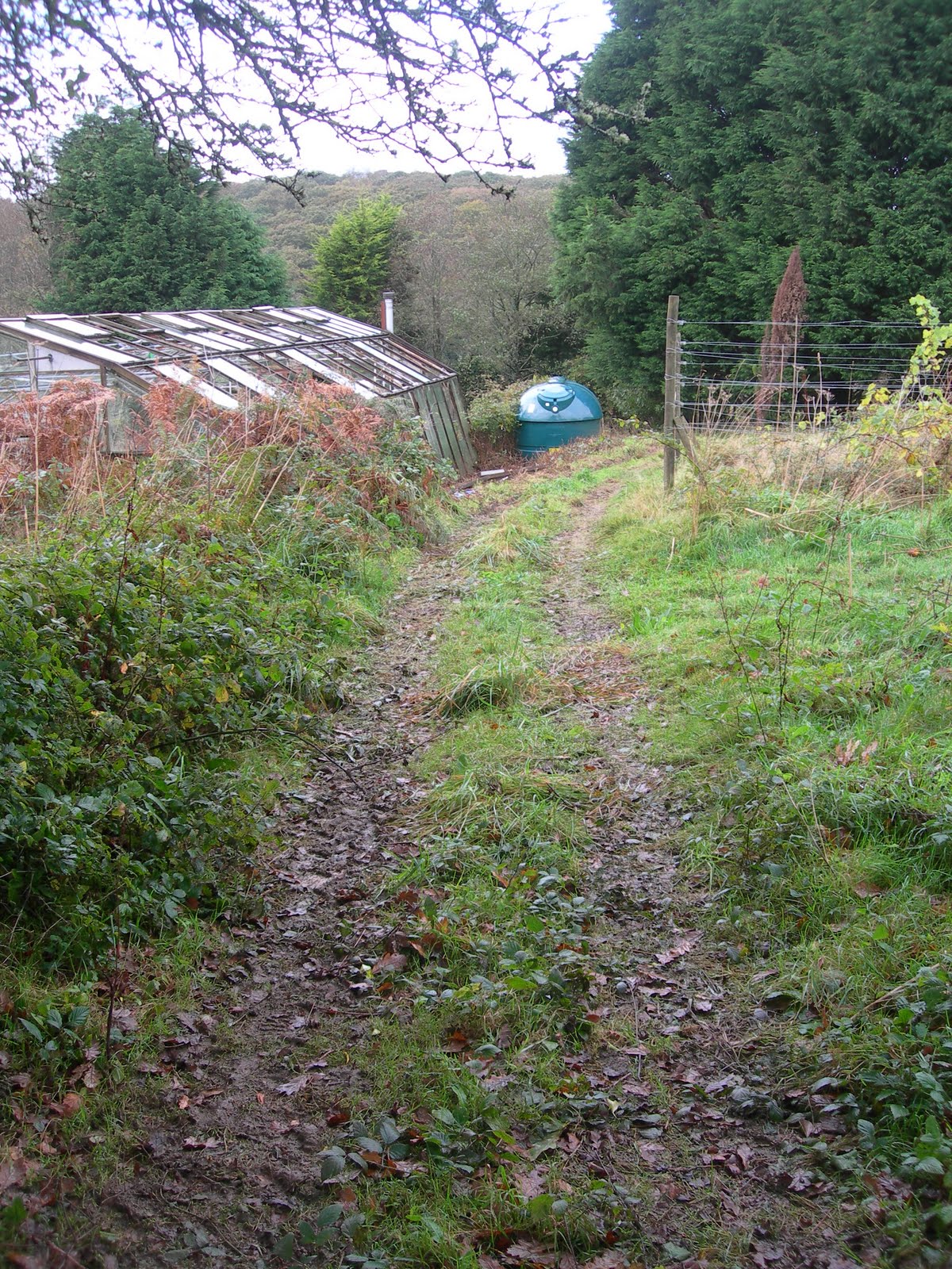 [DSCN6802.JPG]