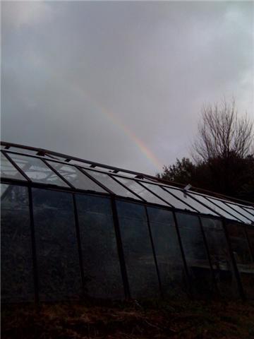 [rainbow.jpeg]
