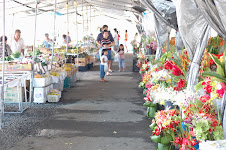 Hilo Farmer's Market