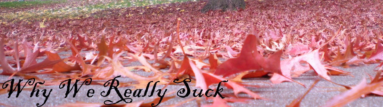 Why We Really Suck
