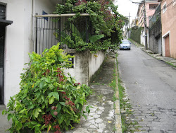 ESQUINA COM RUA CEZAR BECARIA