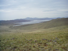 Lac et steppe