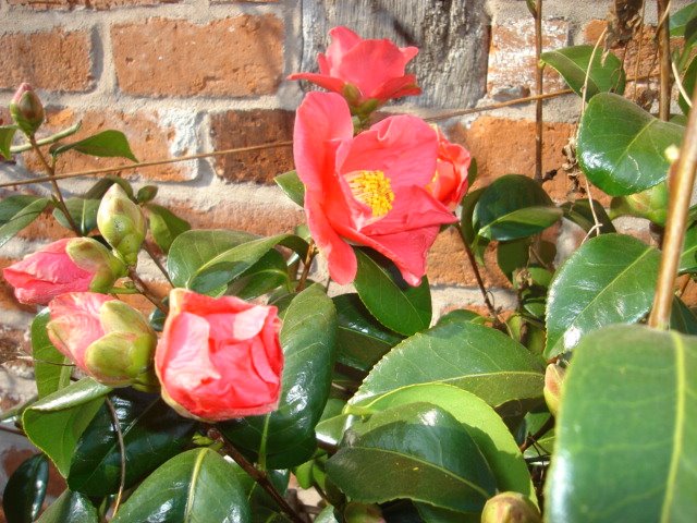 [DSC00748.JPG]