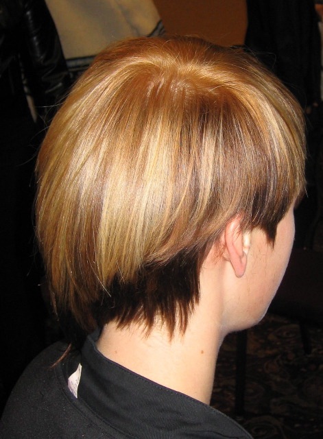 funky hair color ideas for blondes. Two Examples of a short Funky