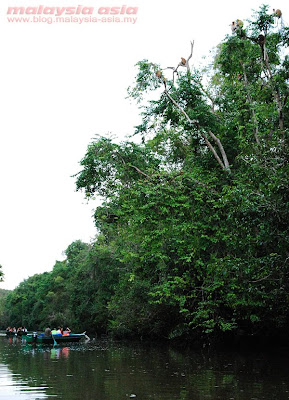 Sabah Borneo Tours Sabah Borneo Tours