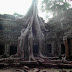 Ta Prohm Temple in Cambodia