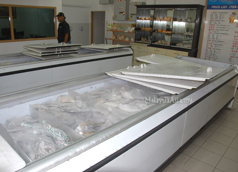 Buying Seafood in Kota Kinabalu Sabah