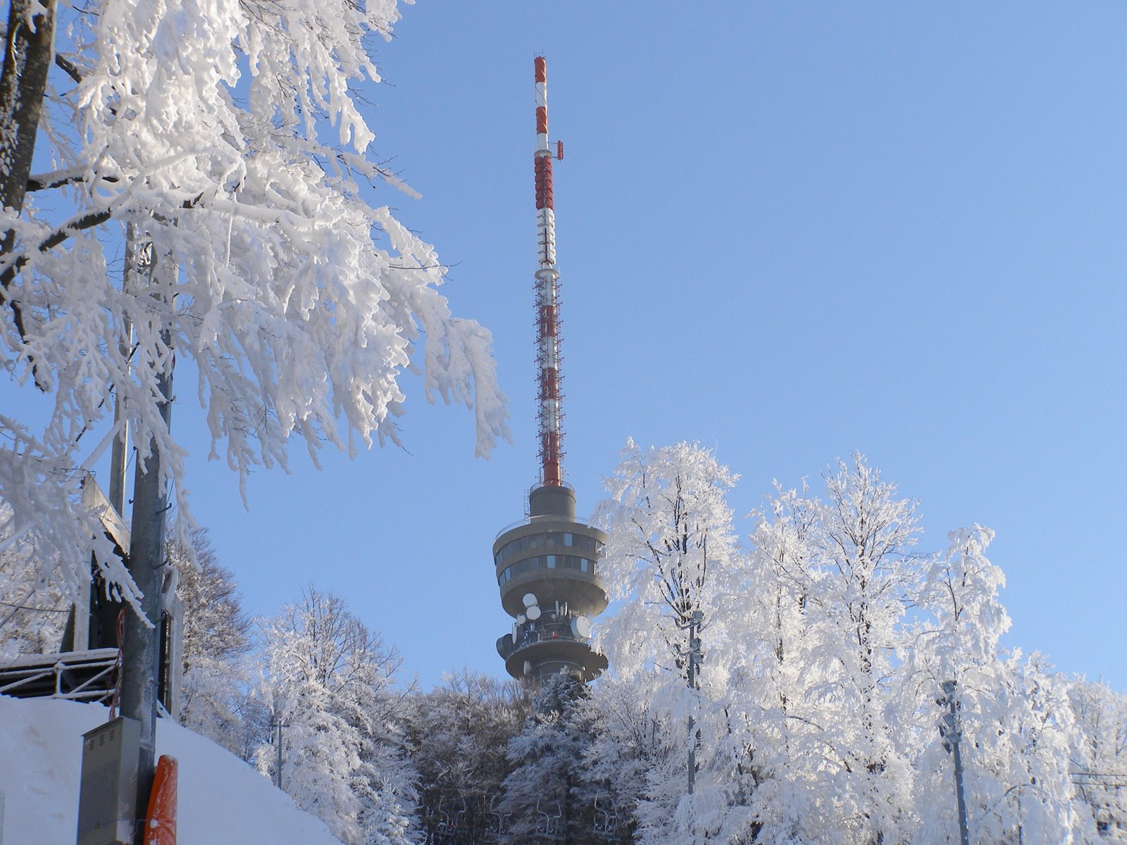 [PC310017.JPG]