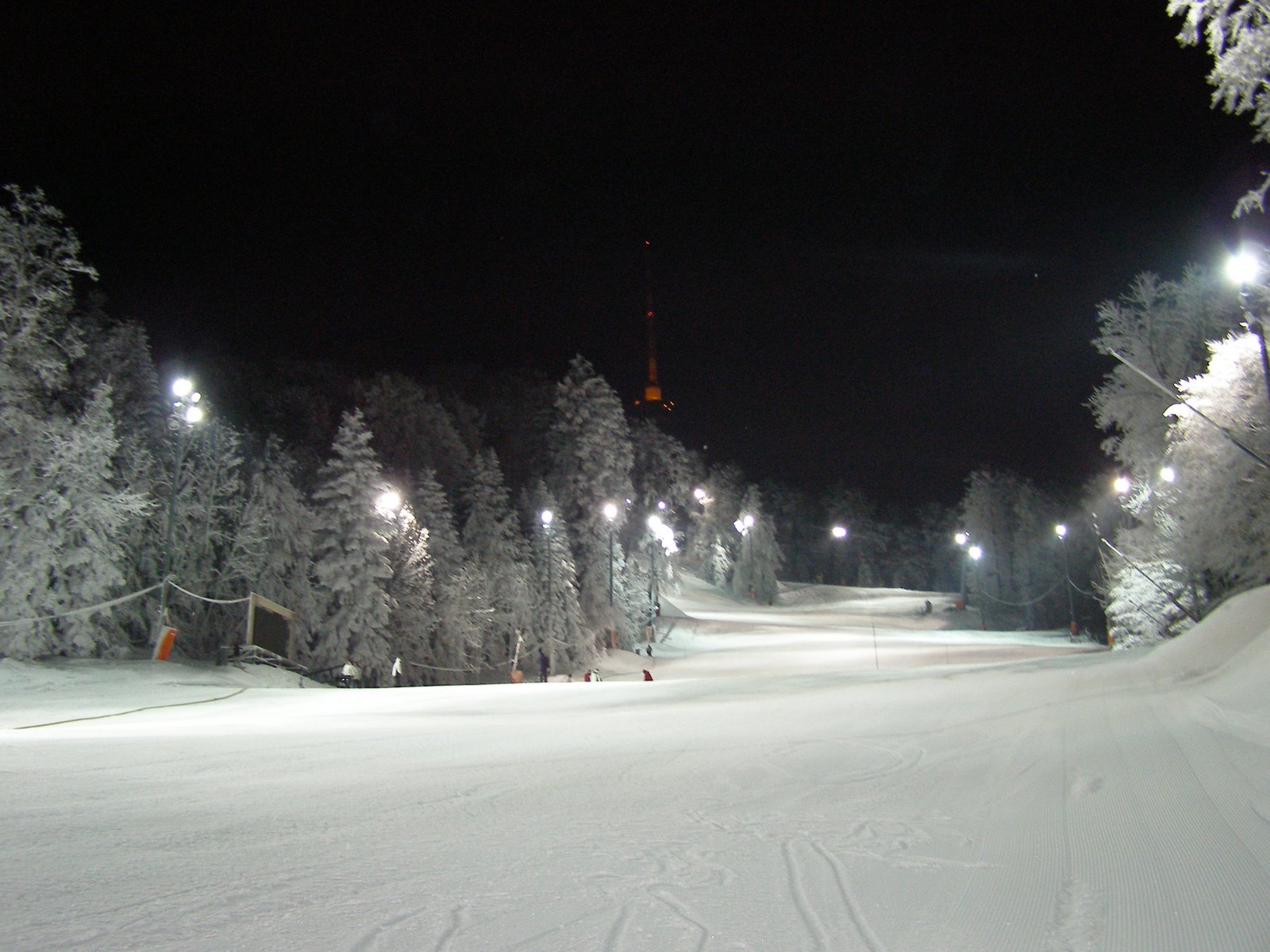 [PC310018.JPG]