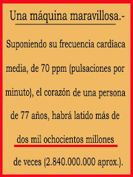 Curiosidades.-