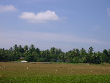 Kerala views