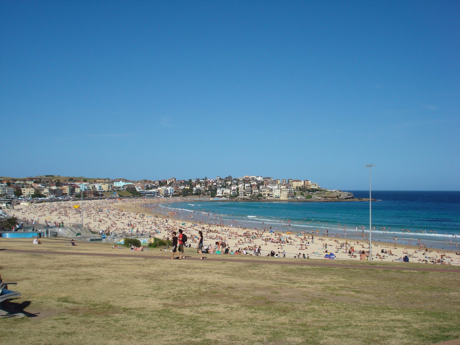 [DSC01146.JPG]