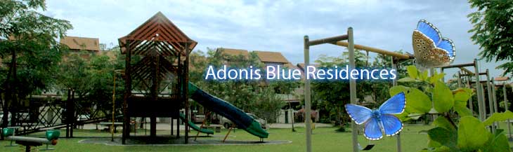 Adonis Blue Residences