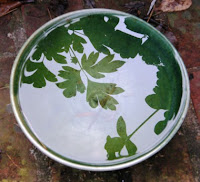 Bucket of Rain