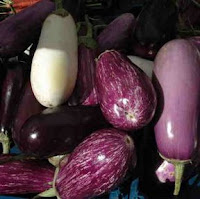 Varieties of Eggplant courtesy of Morguefile
