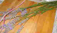 Make a Lavender Wand 1