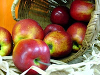 Harvest Apple Basket