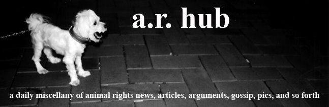 a.r. hub