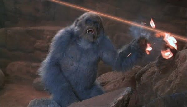 [Grey+Gorillas+Congo+2.jpg]