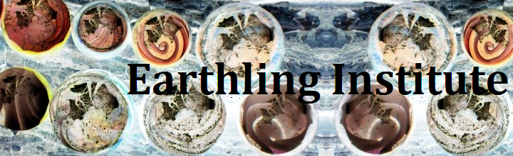 Earthling Institute